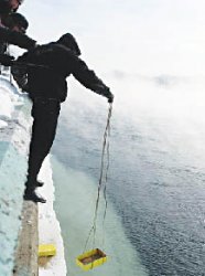 Утиная история