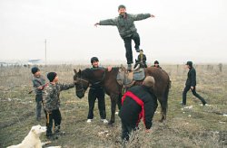 Полковник Гашута, седлайте коня!