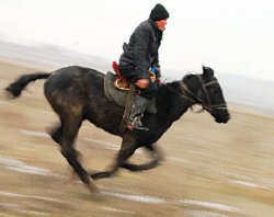Полковник Гашута, седлайте коня!