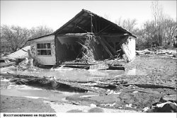 Снявши сына, по отцу не плачут