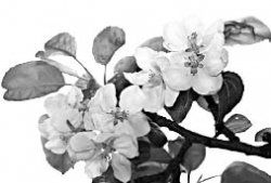 Казахский рай Катрин