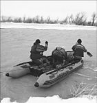 Виновны все!