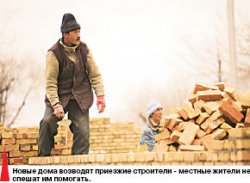 Жизнь после потопа