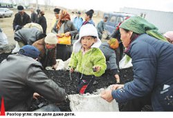 Жизнь после потопа