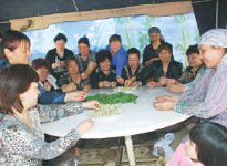 Праздник зелёных пельменей