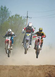 Полёты над луковым полем