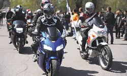 Полёты над луковым полем