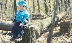 Жители посёлка Тастыбулак: Парк не даст дуба!