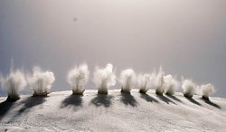 В логове снежного дракона