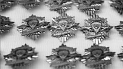 Гнездо для “степного орла”