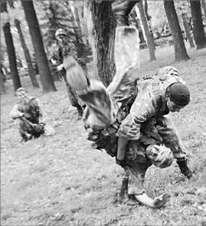 Под знаменем Победы