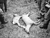 Винительный падёж