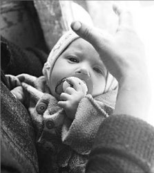 Сарай - как рай