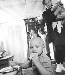 Из сарая - с надеждой