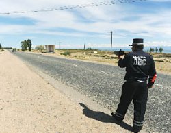 Не страшны морозы, если с нами Роза