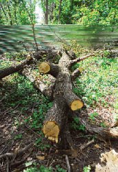 Земля тревоги нашей