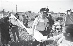 В бой идут одни “Старики”