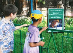 До жирафа дошло, что наркотики - зло