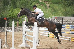 Поверх барьеров