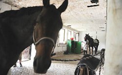 Поверх барьеров