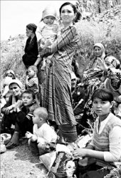 Война под боком