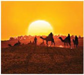 Из Казахстана в Италию со всеми остановками