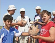 Никто не хотел заплатить 