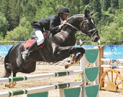 Отделите мух от коней!