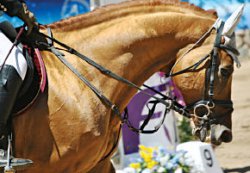 Отделите мух от коней!