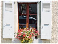 Все покрыты зеленью