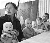 Жизнь-то налаживается!