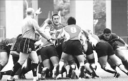 И “дыня” в дорогу!