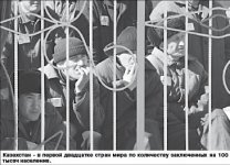 Полетели погоны