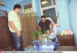 В рот вам ноги!