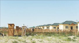 Счастье с горчинкой