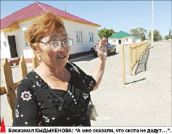 Счастье с горчинкой