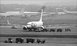 А подать сюда Путина!