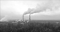 Не ведитесь на дурацкие требования!