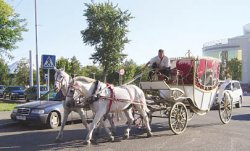 Права для кучера