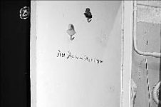 Любовь и смерть неразделимы