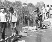 Статус-шматус