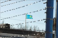 За того парня