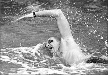 Предложение, от которого нельзя отказаться