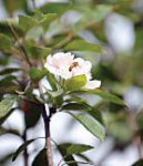 Счастье поздней весны