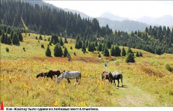 Выше гор могут быть только люди