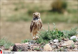 Волшебный объектив Олега Белялова