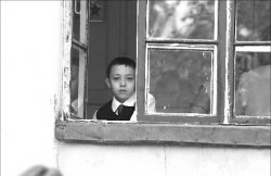 Нарушители конвенции