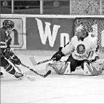 По ранжиру становись!