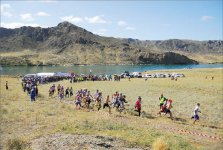 Собачья работа