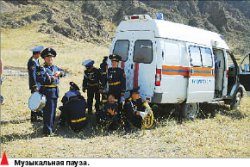 Собачья работа